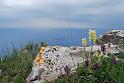 orchidi e panorama